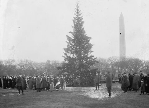 The 1923 National Christmas Tree and the Spirit of the Holiday Season - Photo 3