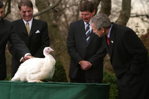 Thanksgiving: President Bush Pardons a Turkey