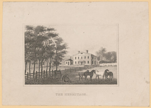 Hermitage Print