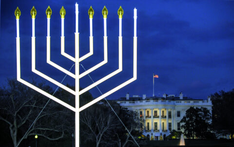 National Menorah, 2010