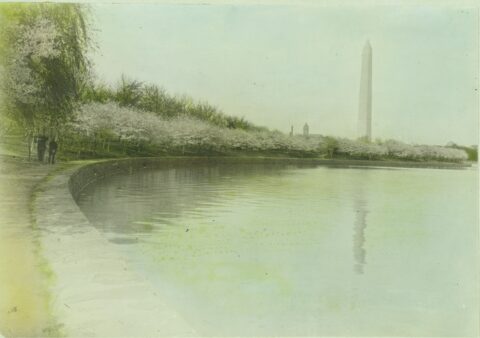 First Lady Helen Taft's Luneta; White House History (Number 34) - Photo 8