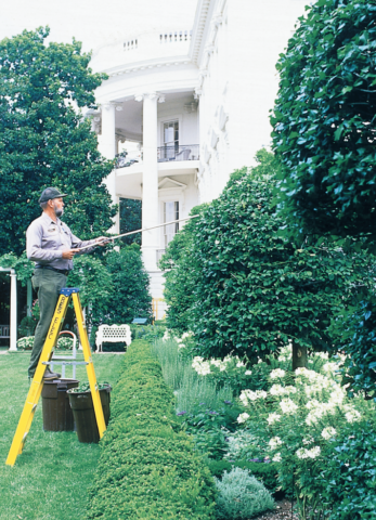 Tom Geer prunes foliage in the East Garden of the White House.