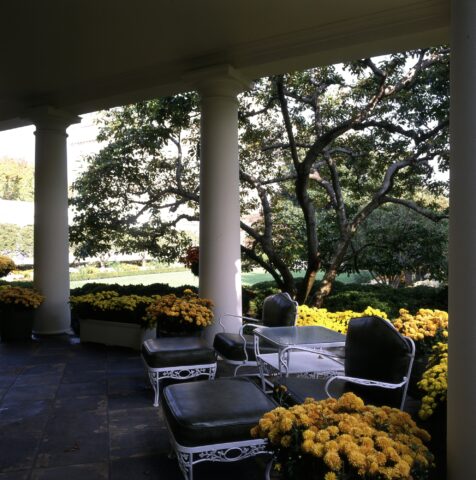 Rose Garden Patio