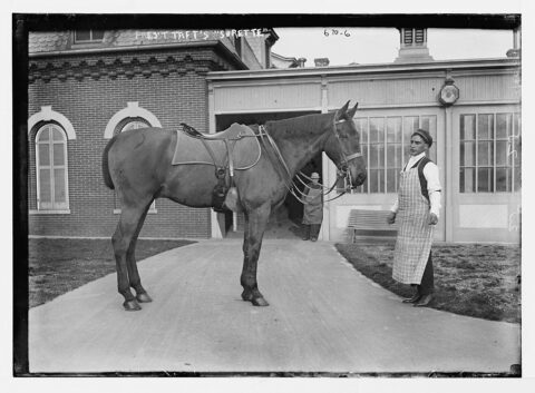 William Howard Taft Horse - Sterrett