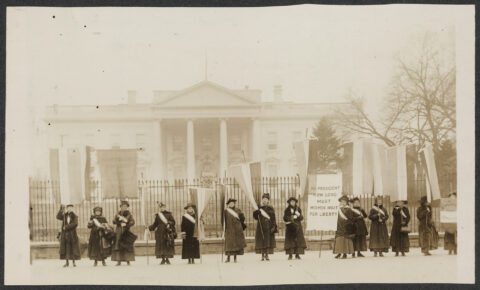 Suffragists: The Fight for the Vote - Photo 3