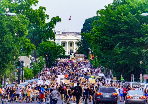 Protest at the People's House