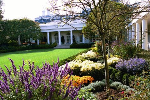 White House Rose Garden in the Fall