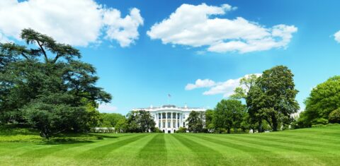 View of the White House South Grounds