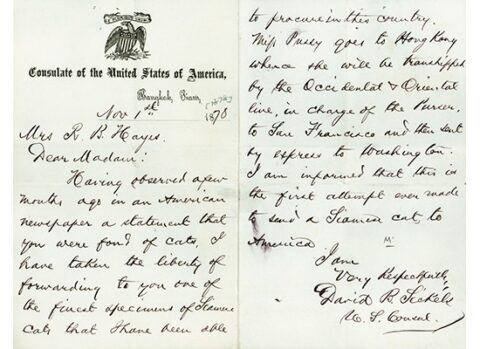 Letter on the Gift of a Pet Cat to First Lady Lucy Hayes