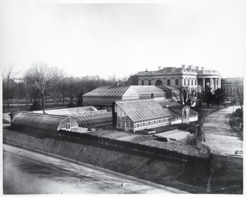 White House Conservatory - 1889