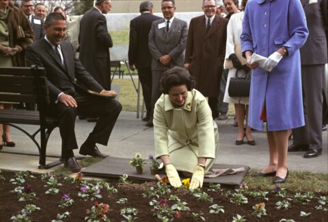 Lady Bird Johnson’s Floral Legacy: “Where Flowers Bloom, There Blooms Hope” - Photo 3