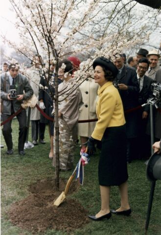 Lady Bird Johnson’s Floral Legacy: “Where Flowers Bloom, There Blooms Hope” - Photo 6