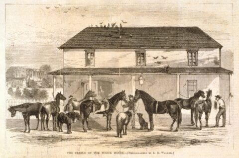 With the White House in the background, Grant's prized warhorses, Cincinnati and Egypt, were shown centered in an engraving, Harper's Weekly, April 17, 1869.