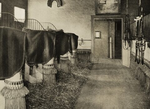 Neatness and order: Interior view of the stalls in the White House stable in 1903.